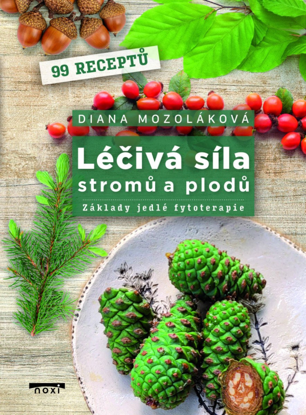 Léčivá síla stromů a plodů - Základy jedlé fytoterapie