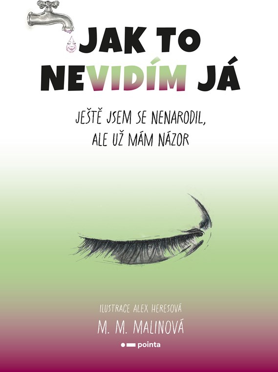Jak to nevidím já