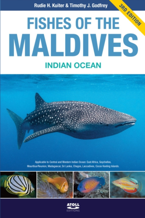 Fishes of the Maldives, Indian Ocean