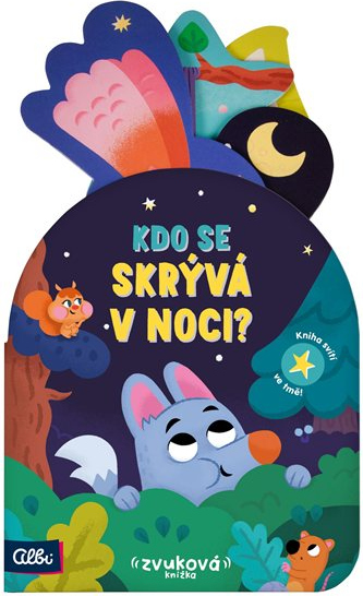 Zvuková kniha - Kdo se skrývá v noci?