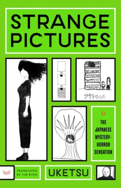 Strange Pictures, A Novel