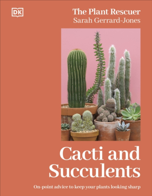 Cacti and Succulents, The Plant Rescuer's On-point Advice to Keep Your Plants Looking Sharp