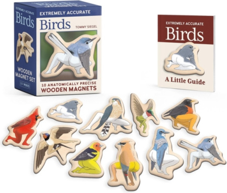 Extremely Accurate Birds Wooden Magnet Set, 10 Anatomically Precise Magnets