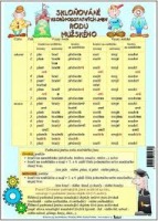 Nástěnný výukový obraz - Skloňování vzorů podstatných jmen rodu mužského
