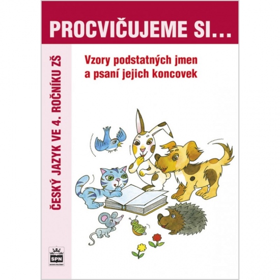 Procvičujeme si Vzory podstatných jmen a psaní jejich koncovek