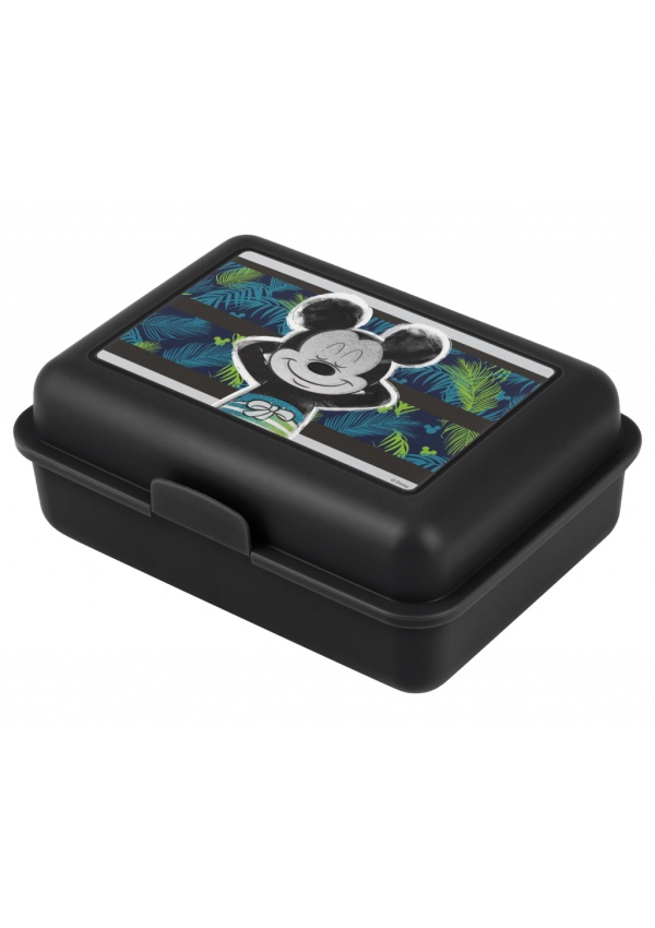 Box na svačinu Mickey