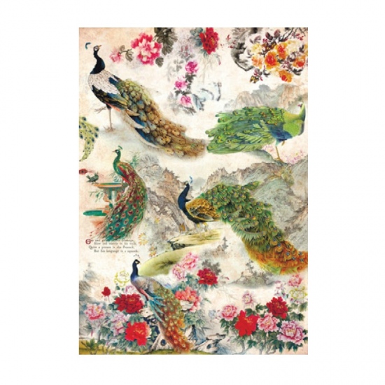 Rýžový papír Cadence A3 - Barevní pávi