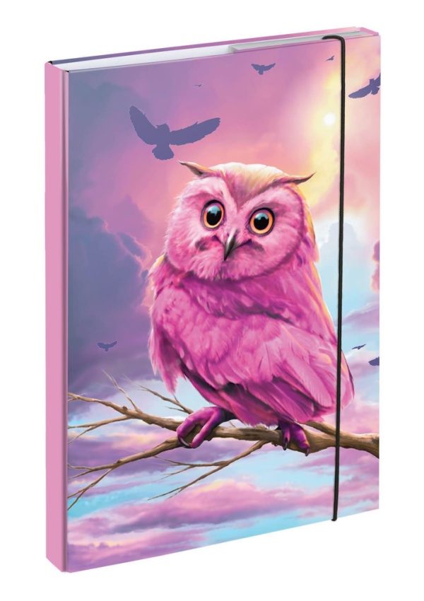 Baagl Desky na školní sešity A4 Sova