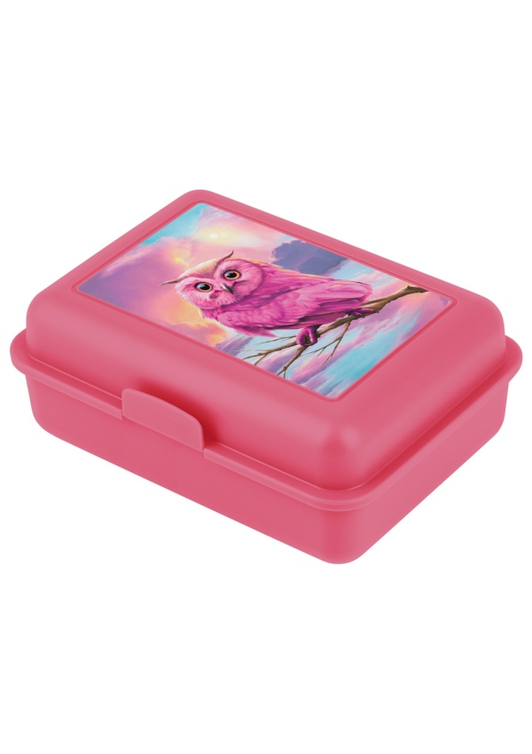 BAAGL Box na svačinu Sova