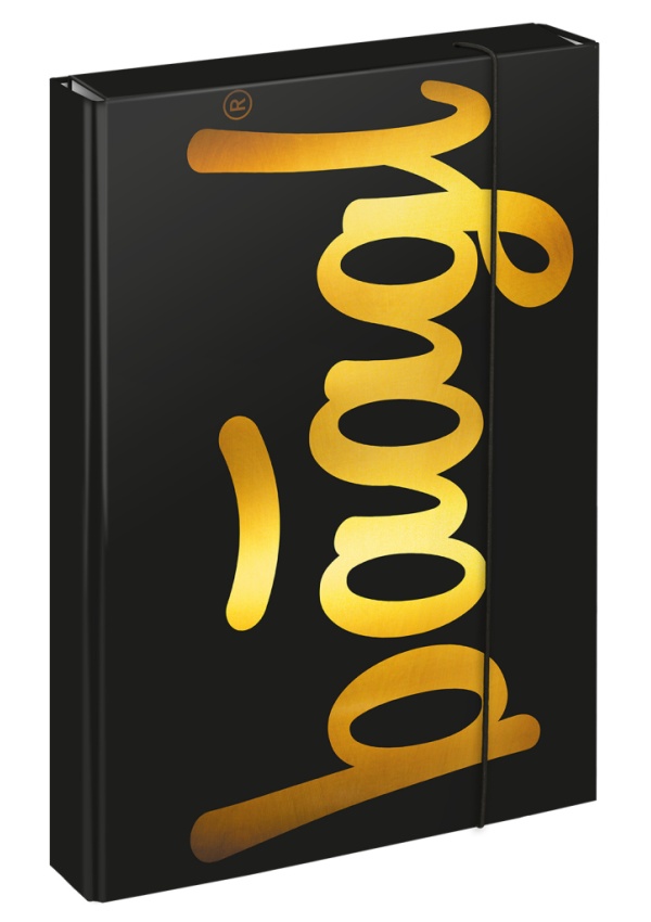 Baagl Desky na školní sešity A4 Jumbo Gold