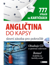 Angličtina do kapsy - slovní zásoba pro pokročilé