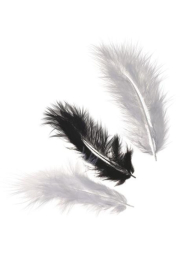Dekorativní peříčka Marabu mix - černá, bílá 15 ks / 10 cm