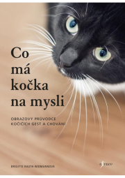 Co má kočka na mysli