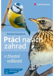 Ptáci našich zahrad v životní velikosti