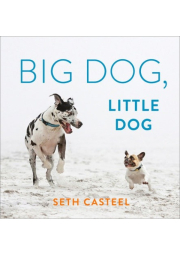 Big Dog, Little Dog