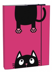 Box na sešity A5 Crazy Kitten