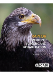 Raptor Medicine, Surgery, and Rehabilitation
