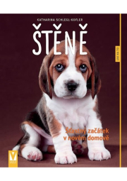 Štěně - Jak na to