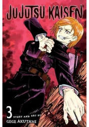 Jujutsu Kaisen, Vol. 3