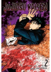 Jujutsu Kaisen, Vol. 2