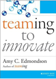 Teaming to Innovate