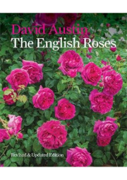 English Roses