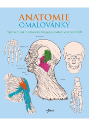 Anatomie omalovánky