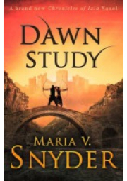 Dawn Study