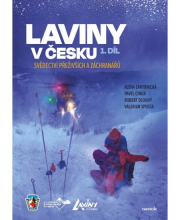 Laviny v Česku 1