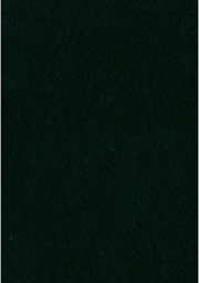 Dekorační plsť 20x30 cm, 2 mm, 350 g, černá č. 89