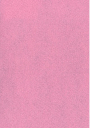 Dekorační plsť 20x30 cm, 2 mm, 350 g, růžová č. 32