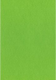 Dekorační plsť 20x30 cm, 2 mm, 350 g, sv. zelená č. 61