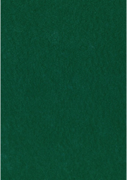 Dekorační plsť 20x30 cm, 2 mm, 350 g, tm. zelená č. 69