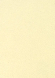 Dekorační plsť 20x30 cm, 2 mm, 350 g, krémová č. 02