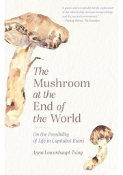 Mushroom at the End of the World, On the Possibility of Life in Capitalist Ruins