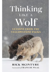 Thinking Like a Wolf, Lessons From the Yellowstone Packs