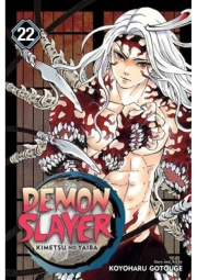 Demon Slayer: Kimetsu no Yaiba, Vol. 22