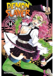 Demon Slayer: Kimetsu no Yaiba, Vol. 14