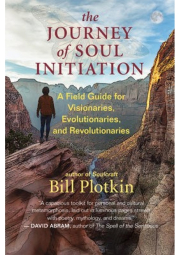 Journey of Soul Initiation, A Field Guide for Visionaries, Revolutionaries, and Evolutionaries