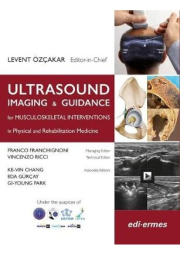 Ultrasound Imaging a Guidance for Musculoskeletal Interventions in Physical and Rehabilitation