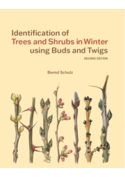 Identification of Trees and Shrubs in Winter using Buds and Twigs