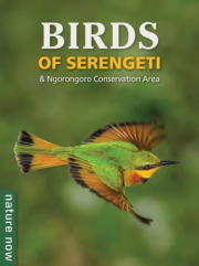 Birds of Serengeti a Ngorongoro Conservation Area