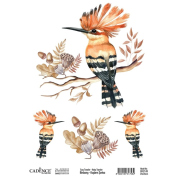 Cadence Transferový obrázek Cadence Easy Transfer, 25x35 cm - Dudek