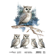 Cadence Transferový obrázek Cadence Easy Transfer, 25x35 cm - Sova