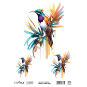 Cadence Transferový obrázek Cadence Easy Transfer, 25x35 cm - Tropický pták