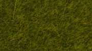Noch Statická tráva divoká Louka 6 mm