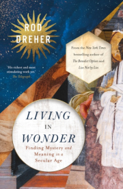 Living in Wonder, Finding Mystery and Meaning in a Secular Age
