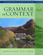 GRAMMAR IN CONTEXT BASIC/1/2/3 4E INTERACTIVE CD-ROM