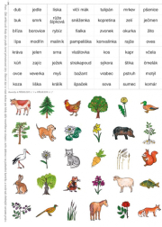 KARTONOVÁ PŘÍLOHA k PS Svět okolo nás - 2. díl