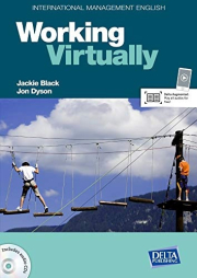 International Management Series: Working Virtually
